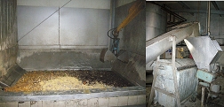 hygenisation pit biogas plant Beck (Germany)